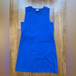 Evereve Blue Sleeveless Dress, with fabric to cover arm/bra area.